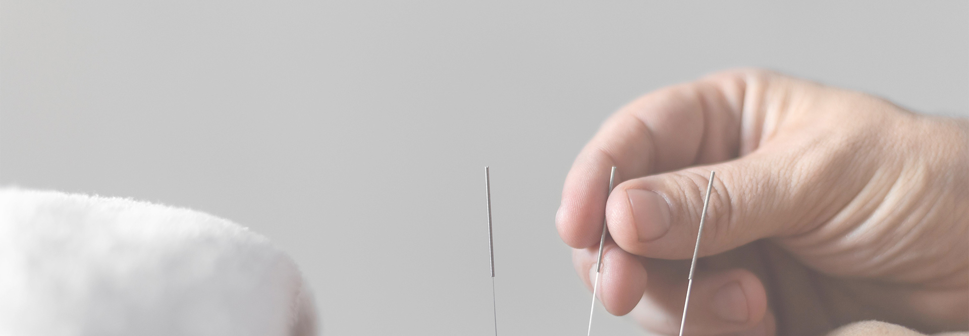 bg_under.jpg